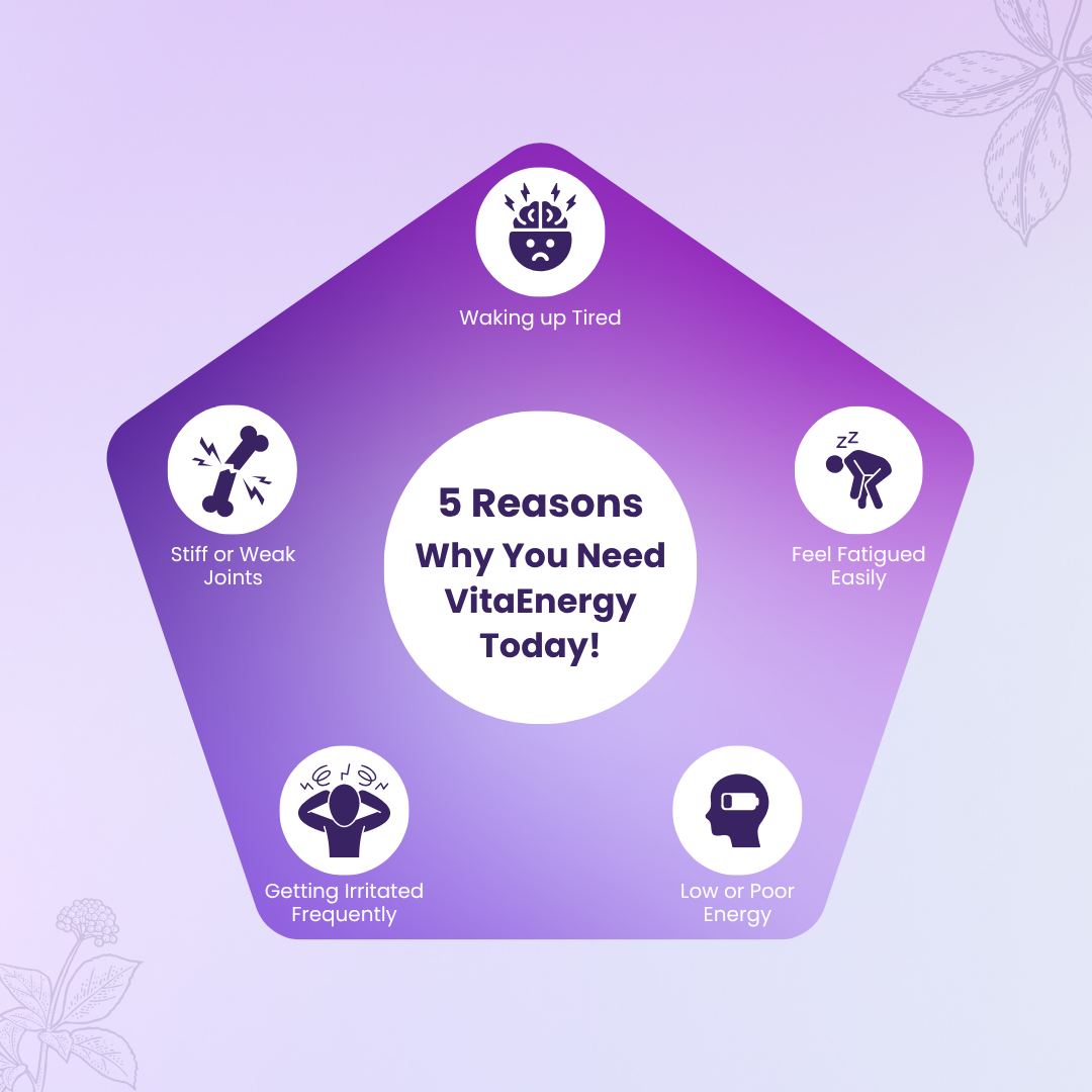 VitaEnergy with B12, D3 & Korean Ancient Wisdom