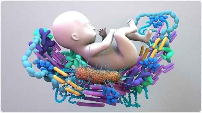 Birthing Bacteria: How Your Gut Microbiome's Journey Begins – Noa ...