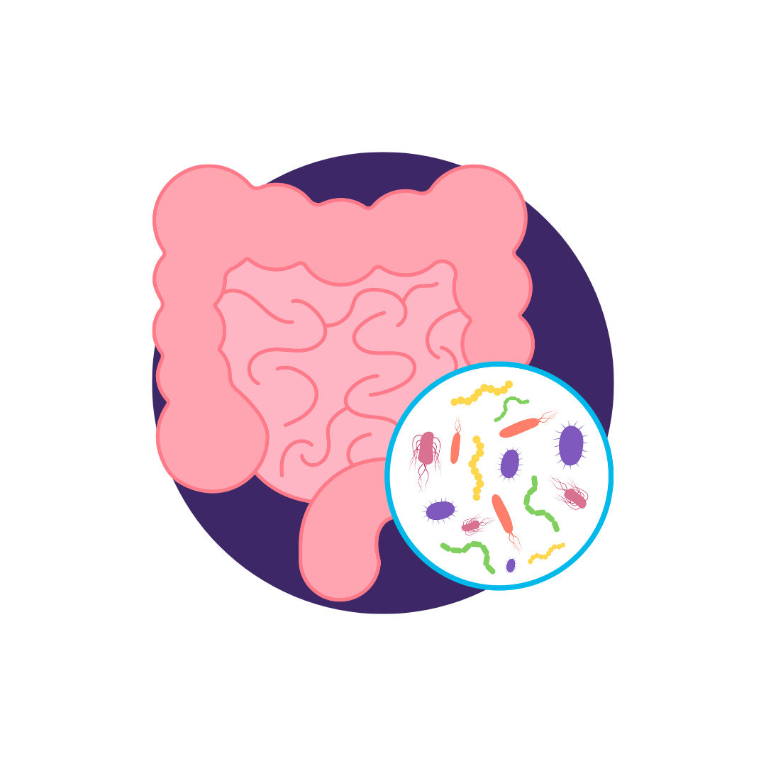 Gut microbiome 