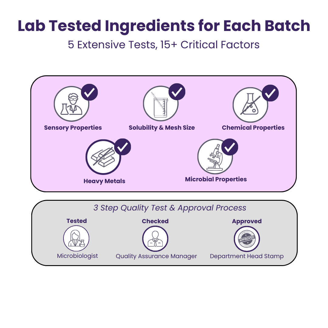 Everyday Plant Protein